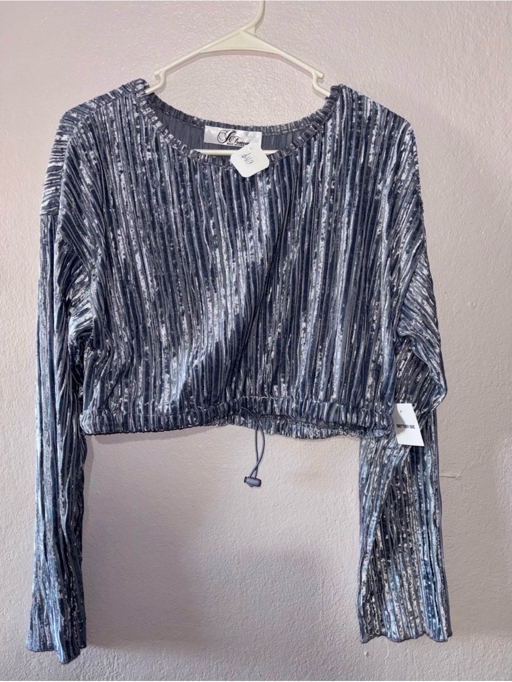 Lush Silver Ribbed Velvet Long Sleeve Crop Top
